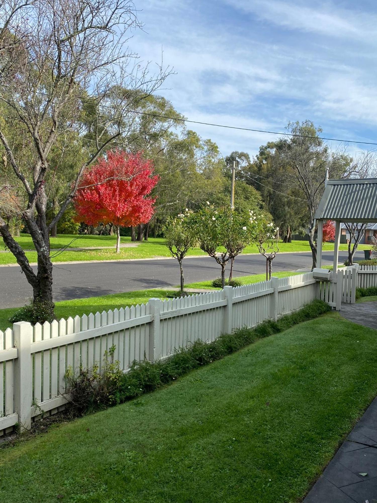 Creek Cottage Bed And Breakfast Traralgon Kültér fotó